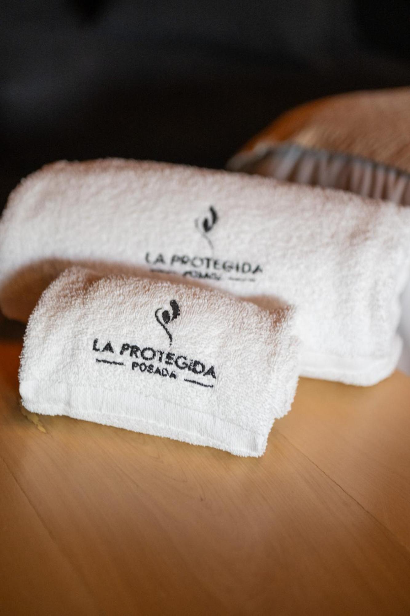 La Protegida